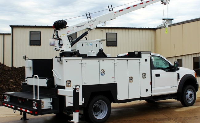 II392_-3516_crane_pic_4.jpg