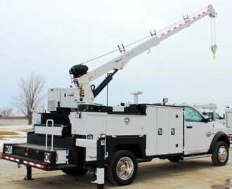 EH_5520_Crane_pic_3.jpg
